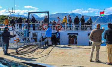 Whale Watching Adventure with Private Transfer to Hermanus