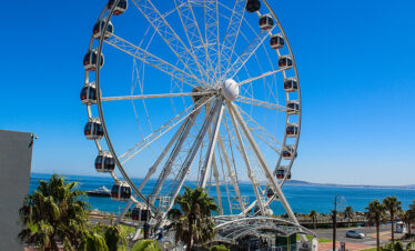 Robben Island & Cape Big Wheel: Explore Cape Town’s History and Heights