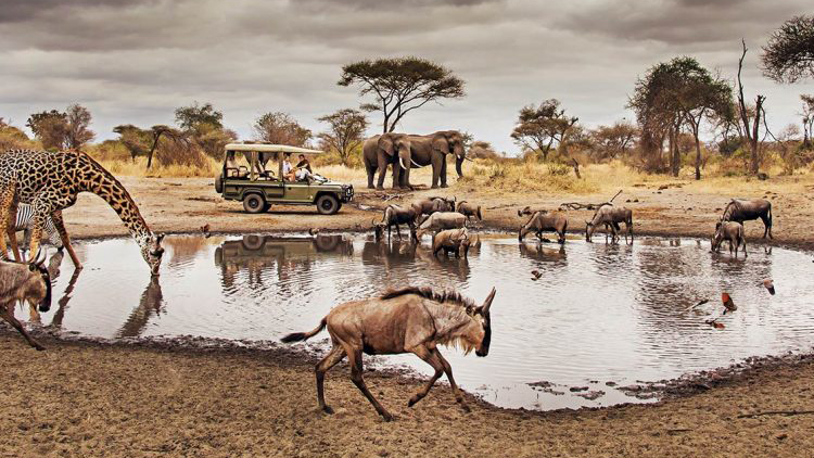 Serengeti National Park image pic picture, Raw African Safaris