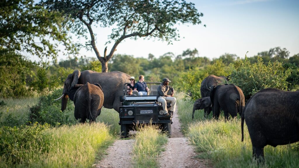 Kruger National park picture image, Raw African Safaris
