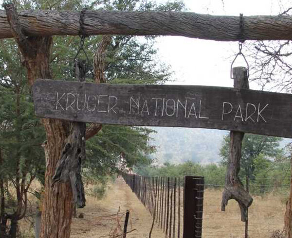 kruger national park – 78