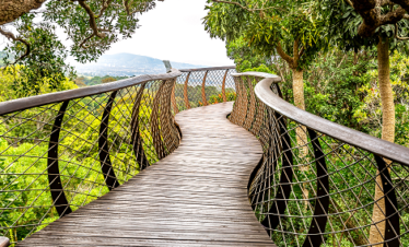 Kirstenbosch Botanical Garden Ticket